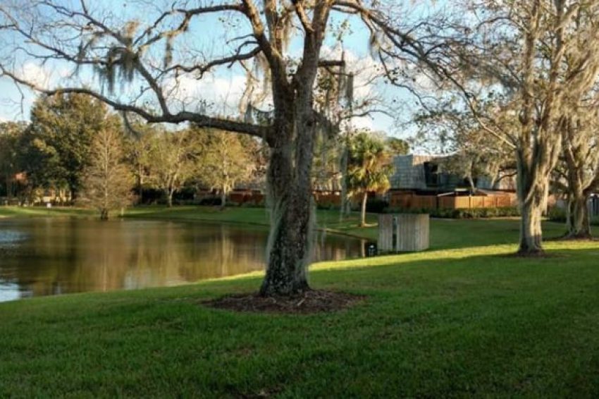 1028 ROYAL OAK BLVD LEESBURG, FL 34748 14